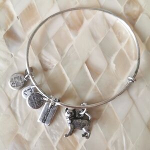 Alex and Ani Monopoly Cat bangle charm, Raphaelian silver
